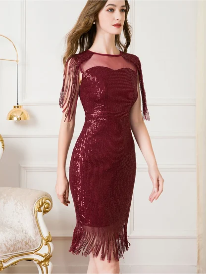 Elegant Shiny Sequin Tassel Dress - Image 4