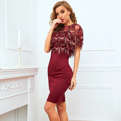 Radiant Fringe Sequin Dress - Image 4