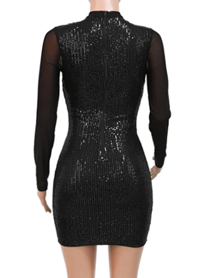 Radiant See-Through Club Sequin Dress - Image 4