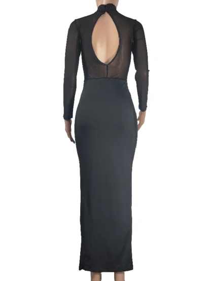Sultry See-Through Mesh Bodycon Dress - Image 5